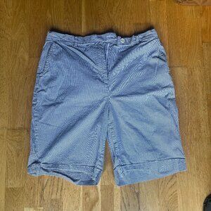 Blue Striped High Wasted Shorts